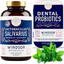 WINDSOR BOTANICALS Lactobacillus Salivarius Probiotic and Dental Probiotics Oral Health Bundle
