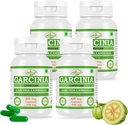 Natural and Pure Herbal Garcinia CAMBOGIA (Garcinia) Extract Capsules | Highest Potency, 100% Herbal Product | Pack of 60 X 500 mg. Veg. Capsules (Pack of 4 Jar)