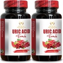 URIC Acid - Joint Comfort & Kidney Support Formula with Celery Seed Extract, Tart Cherry, Flexibility Boost - Non-GMO, Gluten-Free - 2 Bottles 120 Capsules