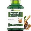 tnvitamins Boswellia Extract Capsules, 120 Count | 1,200 mg Per Capsule | 65% Boswellic Acids + 10:1 Concentrated Extract | Boswellia Serrata | Joint & Mobility Support*