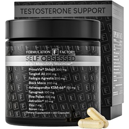 Formulation Factory Self Obsessed Maxxed - 10-in-1 Men's Vitality Complex with PrimaVie Shilajit, Tongkat Ali, KSM-66 Ashwagandha, Fadogia Agrestis, Black Maca & Zinc - 120 Capsules, 2 Month Supply