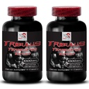 Plant-Based Performance - TRIBULUS TERRESTRIS Extract - Natural Activity Boost, Strength Power, Body Recharge, Energy Performance, Stamina Support Blend, Active Power Support 2 Bottles 180 Tablets
