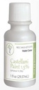 Castellani Paint Phenol 1.5 Percent Modified Violet Color First Aid Antiseptic Agent - 1 Oz