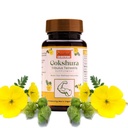 Ayurleaf Herbals Gokshura Tribulus-500mg Capsules | Boosts Vitality & Stamina | Supports Gut Health | 100% Natural Herb (Pack of 2, 120 Capsules)
