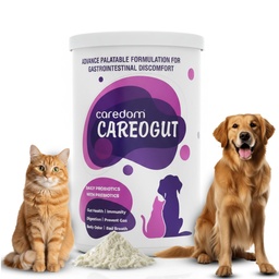 CAREOGUT Prebiotics & Probiotics for Dogs and Cats | Digestive Enzyme Blend | Probiotics Supplement for Gut Health | Cat & Dog Supplement for Daily Gut Support | Powder | 100 grm