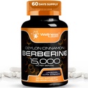 WELLNESS LABSRX Berberine 15,000mg - Third-Party Tested Berberine Supplement HCL with Ceylon Cinnamon, Black Pepper Extract and Apple Cider Vinegar, Heart Support Capsules - 120 Capsules - Pack of 1
