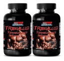 pills for men sex long and strong - TRIBULUS TERRESTRIS EXTRACT 1000MG - MUSCLE STRENGTH, male fertility booster, male libido pills, male sex pills, male enhancement, stamina booster, 2B 120 Tablets