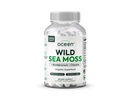 Organics Ocean Wild Sea Moss with Bladderwrack & Chlorella, 60 Capsules