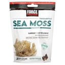 Force Factor Sea Moss Soft Chews, Support Immunity, Digestion, and Heart Health, Irish Sea Moss Superfood & Antioxidants Supplement, Non-GMO, Gluten-Free, Salted Caramel Flavor, 30 Soft Chews