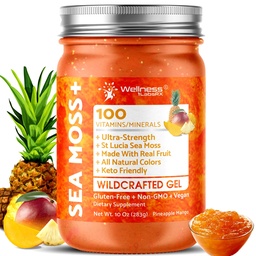 WELLNESS LABSRX Irish Sea Moss Gel Raw - Wildcrafted Superfood Seamoss Gel - Pineapple Mango Flavor, Vitamin and Mineral-Rich from Pristine Caribbean Waters - 10 oz.
