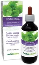 Naturalma Gotu kola (Centella asiatica) herb Alcohol-Free Tincture - 6.76 fl oz Liquid Extract in Drops - Herbal Supplement - Vegan