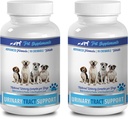 Bladder Supplements for Dogs - Urinary Tract Support - for Dogs - Advanced Complex - CHEWABLE - Corn Silk for Dogs - 2 Bottle (180 Chews)