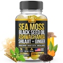 Sea Moss, Black Seed Oil, Ashwagandha, Ginger, Shilajit Gummies with Elderberry, Chlorophyll, Turmeric Bladderwrack Sea Moss Gummies Advanced Strength Formula - All in 1 Bundle - USA Made (60 Gummies)