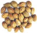 Naturals Terminalia Chebula | Kadukkai| Harad | Inknut |Haritaki Indian Origin Herbs (200g(7 oz))