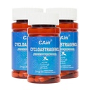 CAW Anti-Aging Supplement | Hypersorption Cycloastragenol 98% | 5mg 30enteric-Coated Capsules 3bottles